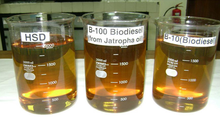 Biodiesel CNSL