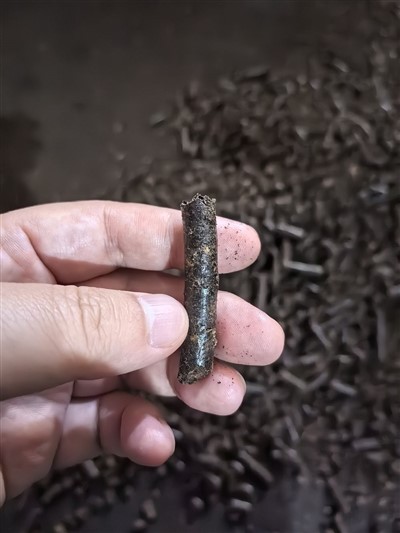 Pelenni Cregyn Cnau Cashew