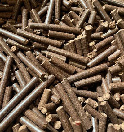 Pelenni Cragen Cashew