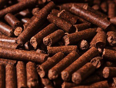 CNSP ar gyfer Gwaith Pŵer